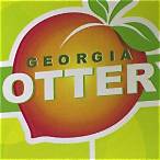 atlanta georgia lottery numbers